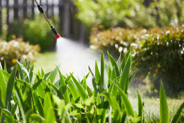 Tamper-Resistant Bait Stations for Rodents in Stony Brook University