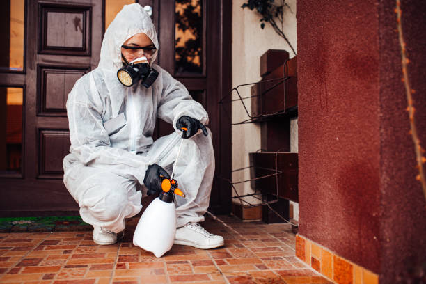 Attic and Crawl Space Rodent Treatment in Stony Brook University