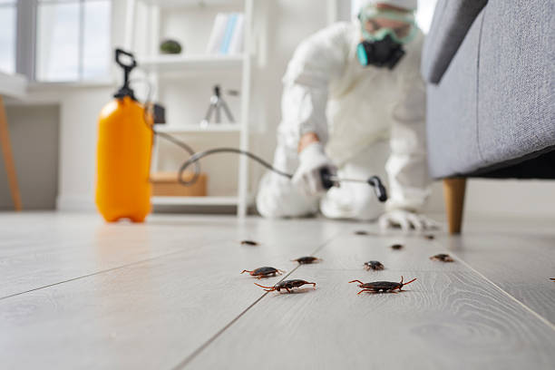 Commercial Rodent Management in Stony Brook University